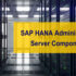 sap s4 Hana server for practice