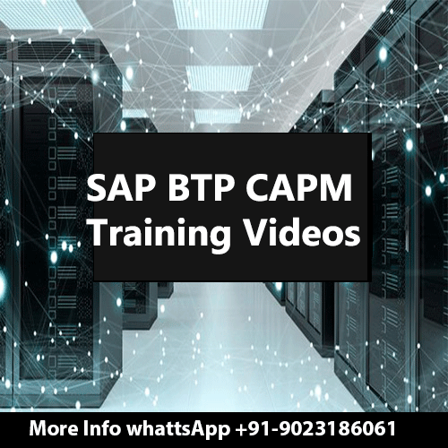 SAP BTP CAPM Training Videos