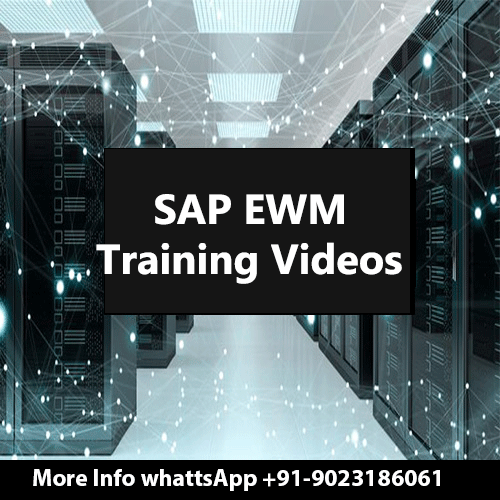 SAP EWM Training Videos