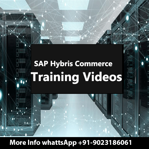 SAP BRIM Training Videos