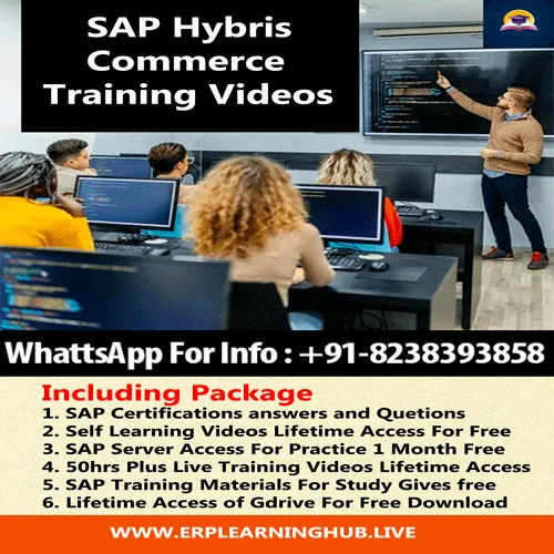 SAP BRIM Training Videos