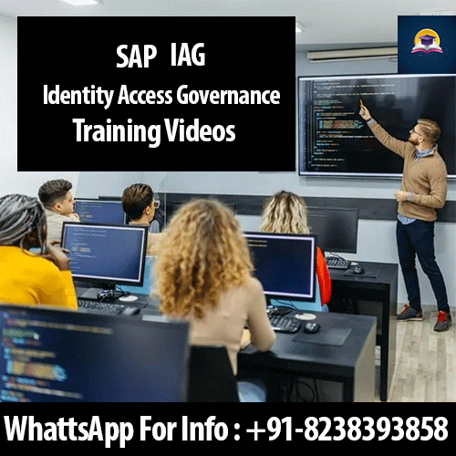 SAP IAG Training Videos
