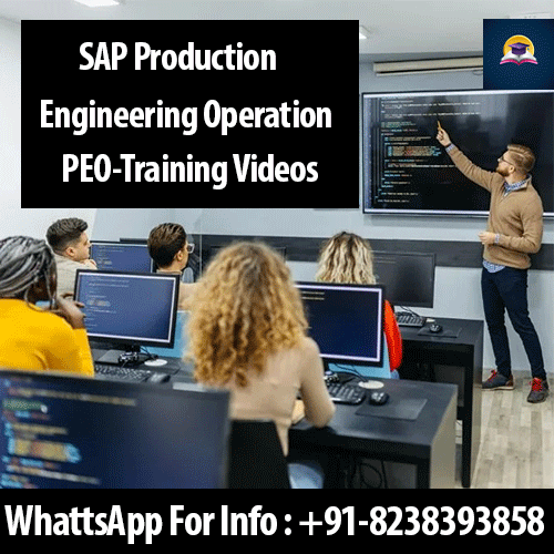 SAP PEO Training Videos