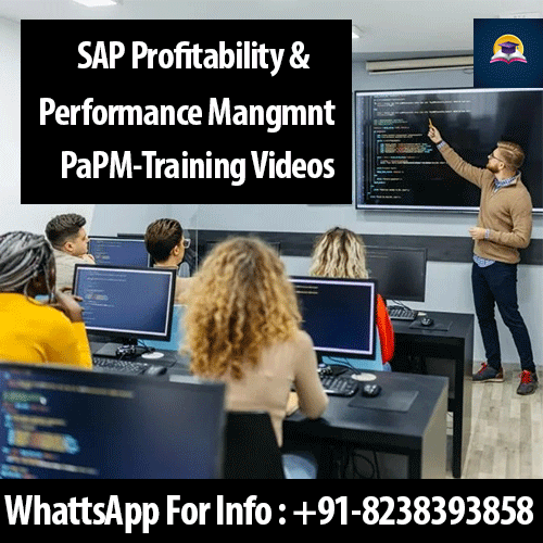 SAP PaPM Training Videos